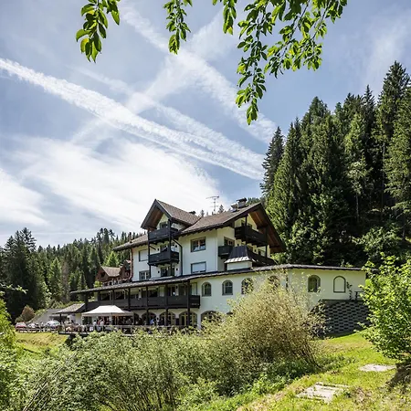 Hotel Bad Waldbrunn-3