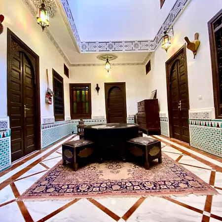 Riad Jibril-2