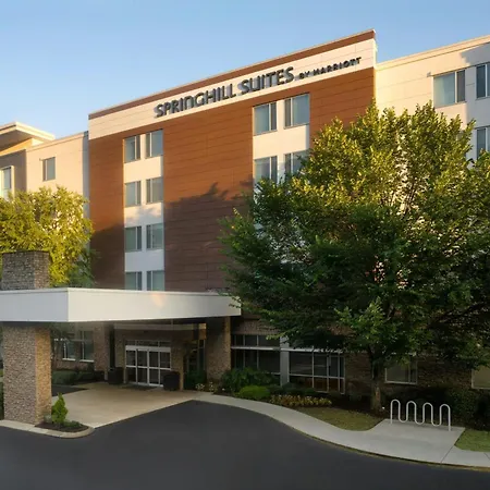 Springhill Suites By Marriott Downtown Chattanooga/Cameron Harbor-2