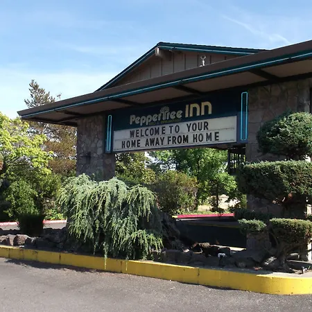 Pepper Tree Inn-3