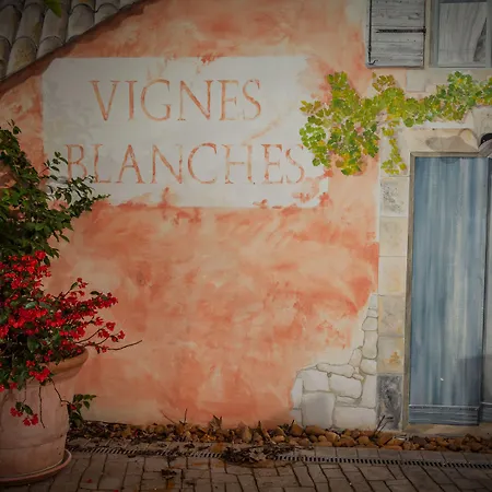 Logis Hotel Les Vignes Blanches-3