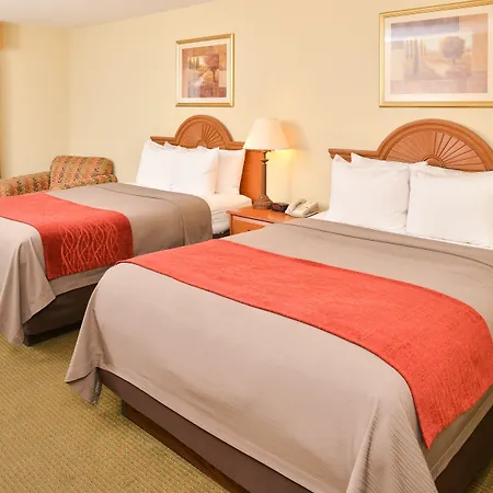 Comfort Inn Marrero - New Orleans West-2