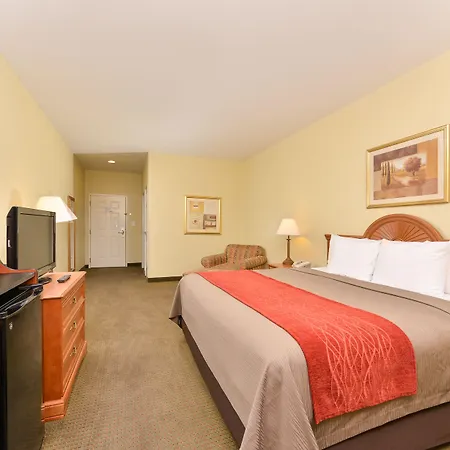 Comfort Inn Marrero - New Orleans West-3