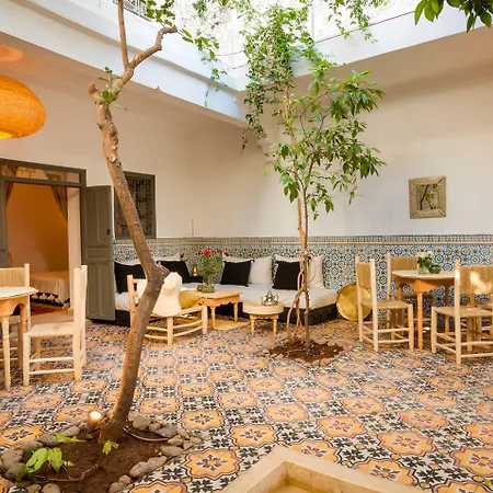 Riad Chamali-3
