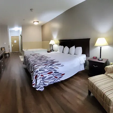 Red Roof Inn & Suites Midland-3