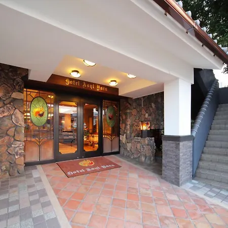 Hotel Asyl Nara-3
