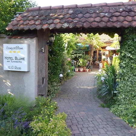 Hotel Blume-3