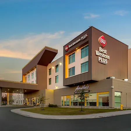 Best Western Plus St. John'S Airport Hotel And Suites-3