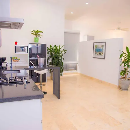 El Cactus Luxury Apartments In Historic Center-3
