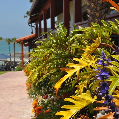 Beachcomber Inn-3
