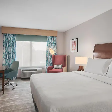 Hilton Garden Inn Tampa North-2