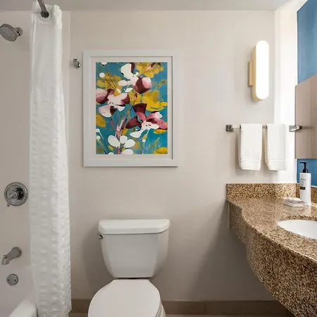 Hilton Garden Inn Fort Myers Airport/Fgcu-3