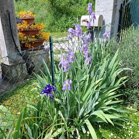 La Casa di Elena-3