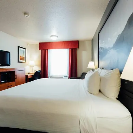 Super 8 By Wyndham Grande Prairie-3
