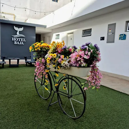 Hotel Baja-2