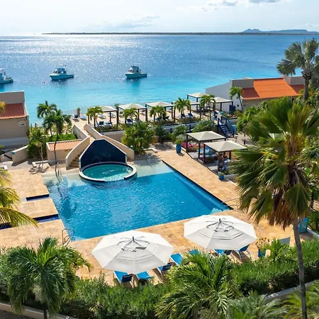 Divi Flamingo Beach Resort-3
