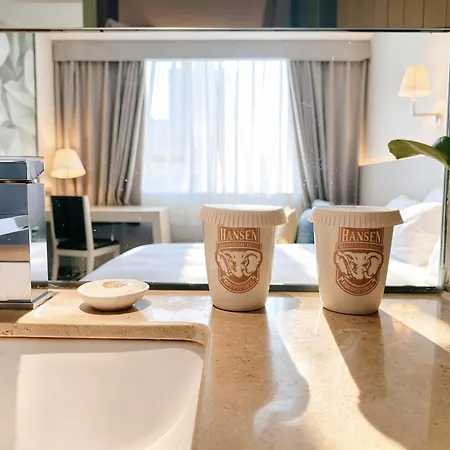 Hansen Hotel-3