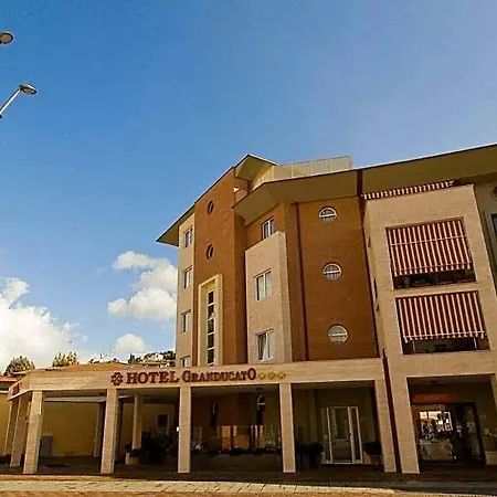 Hotel Granducato-2