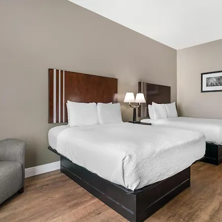 Best Western Abbeville Inn And Suites-2