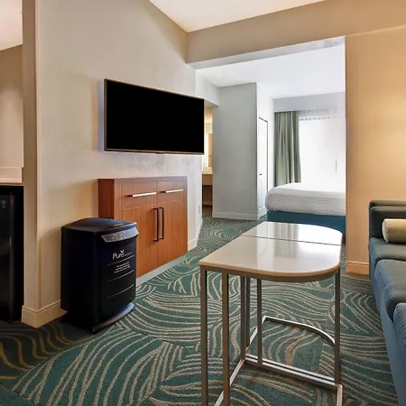Springhill Suites By Marriott Baltimore BWI Airport-3