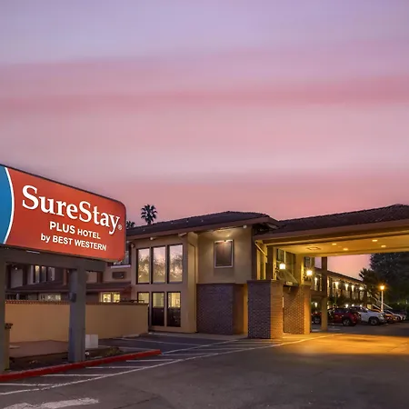 Surestay Plus Hotel By Best Western Mountain View-3