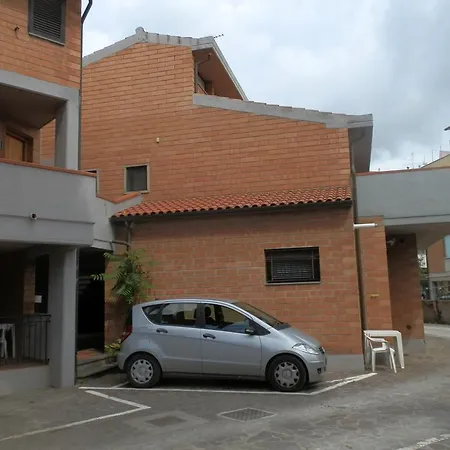 Cav Brunella-3
