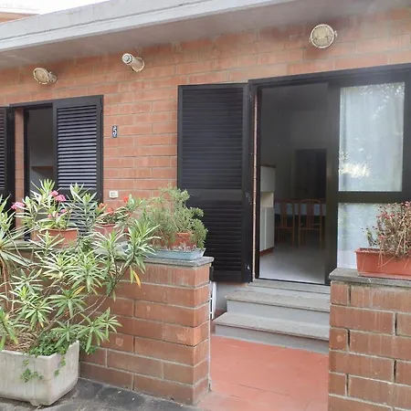 Cav Brunella-2