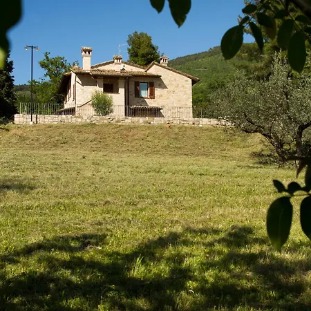 Villa Degli Ulivi-3