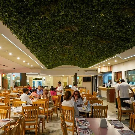 Hotel Los Cocos Chetumal-3