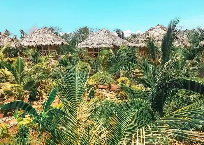 Mandala Tribe Treehouses