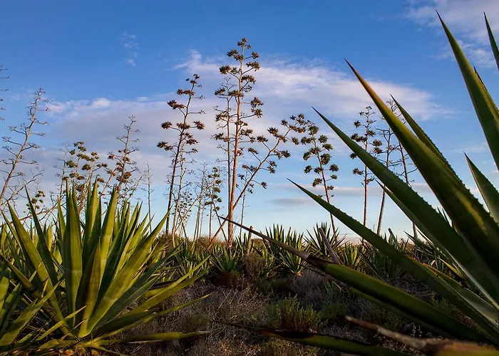 La Palmera. El Amanecer En El Parque Natural