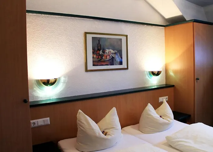 Hotel-Landgasthof Gruener Baum - Dittigheim