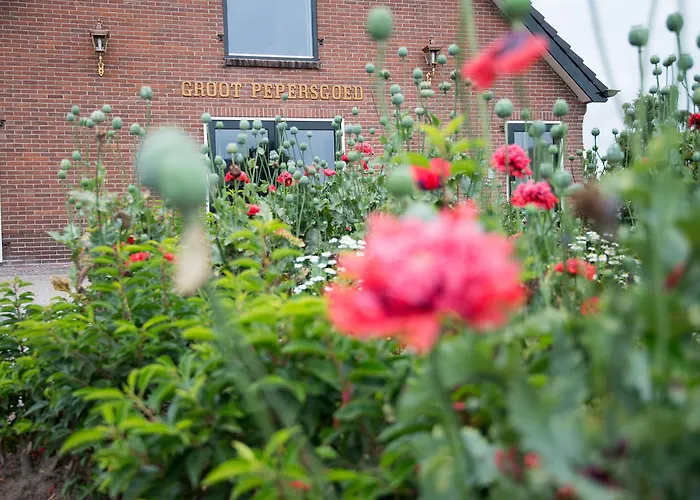 B&B Groot Pepersgoed Hoevelaken