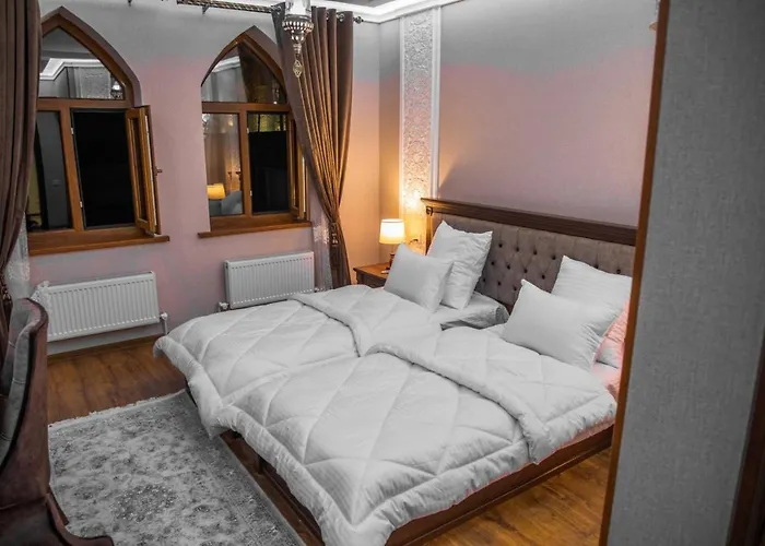 Hotel Minor