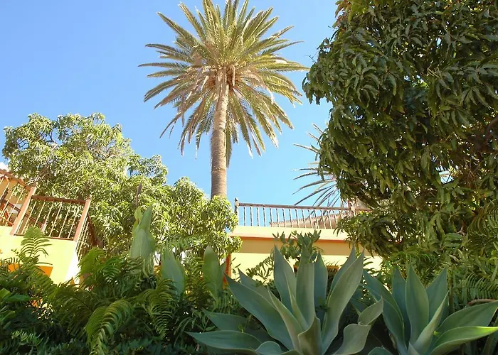 Hotel Jardin Concha