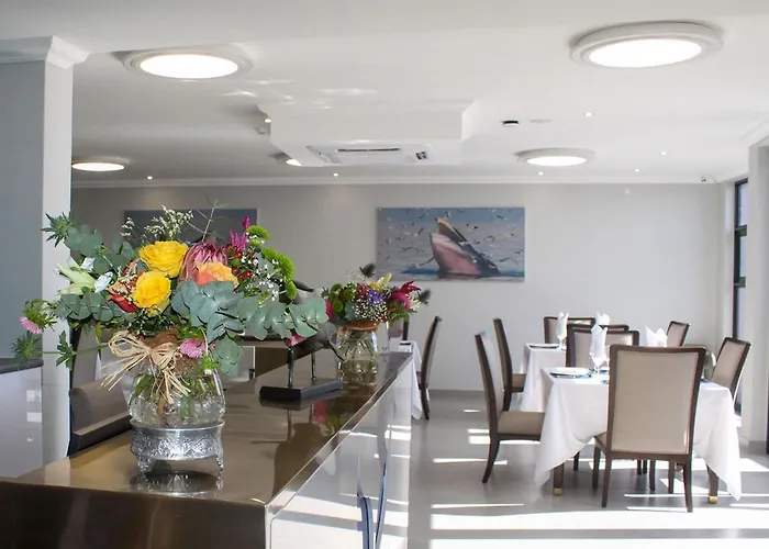 Blue Whale Hotels