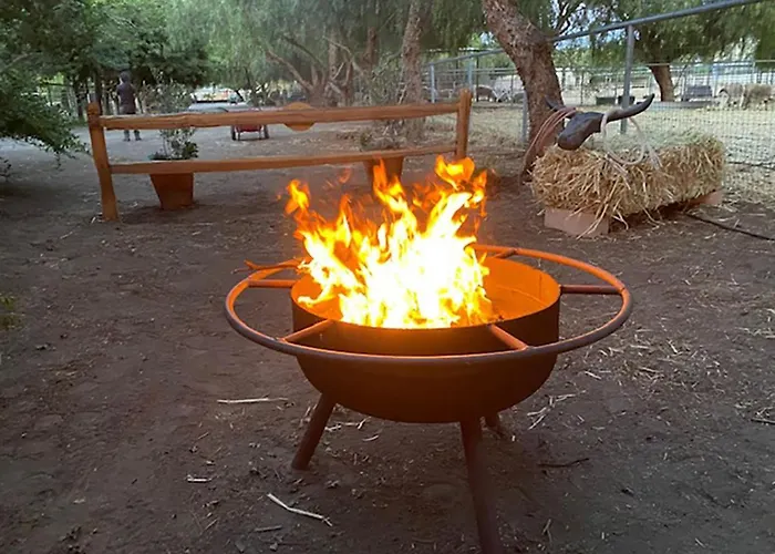 The Pony Experience; Glamping With Private Petting Zoo