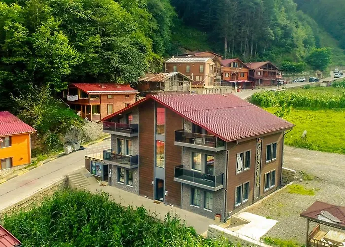 Anemo Suite