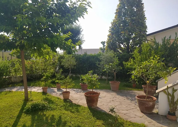 Villa La Bouganville Camaiore