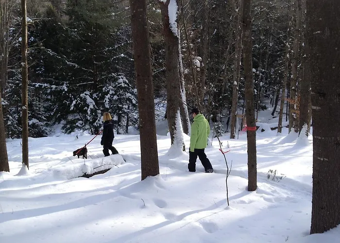 Mountain Road Resort