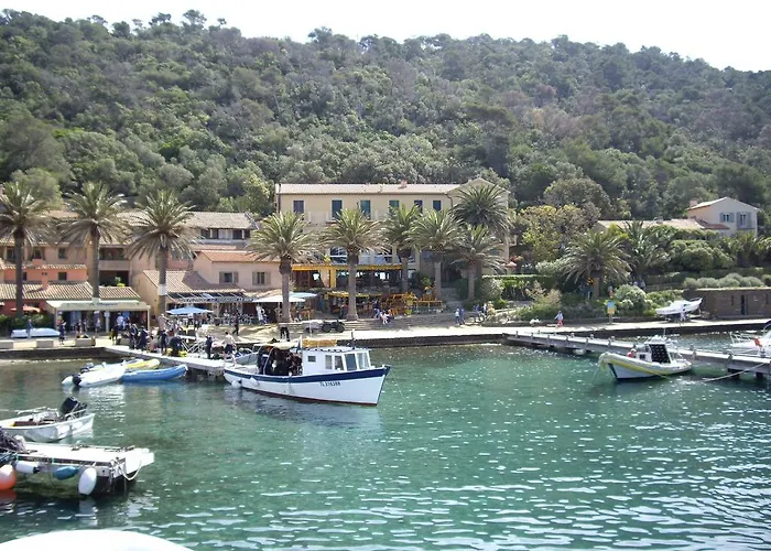 Hotel Les Palmiers