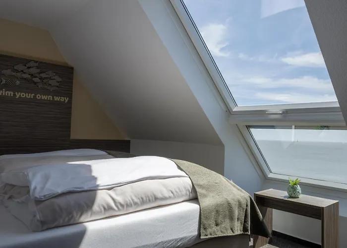 AKZENT Strandhotels Seestern, Delphin&Lachs