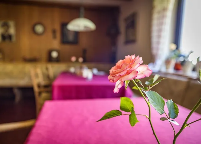 Hotel- Pension Oechsner