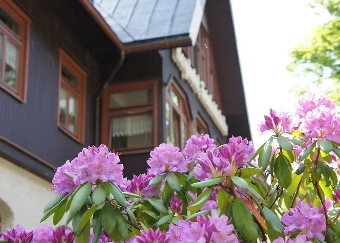 Berghotel Friedrichshoehe - Sauna, Pool & Natur