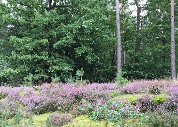 Ferienhof Timmerloher Heide