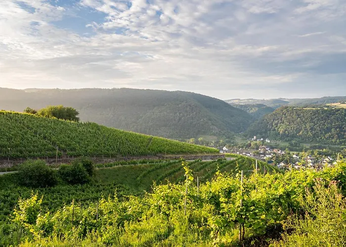 Hotel Moselblick