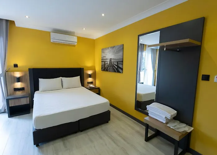 Roy Otel