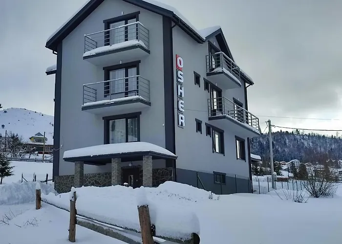 Hotel Osher