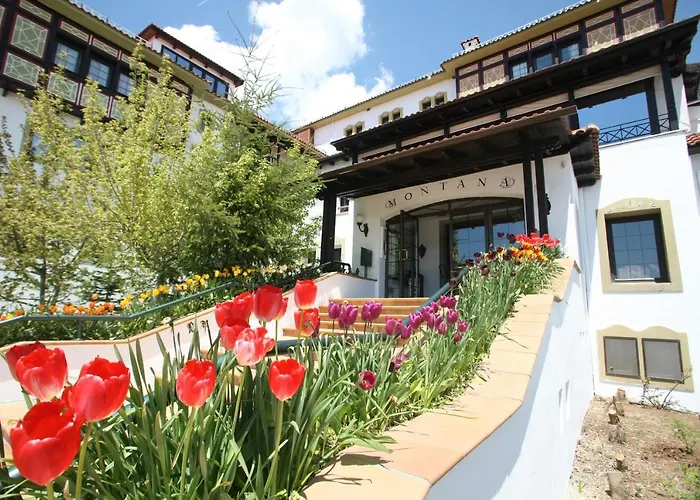 Hotel Spa Montana