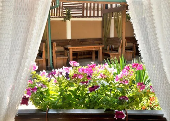 Vidin Hotel